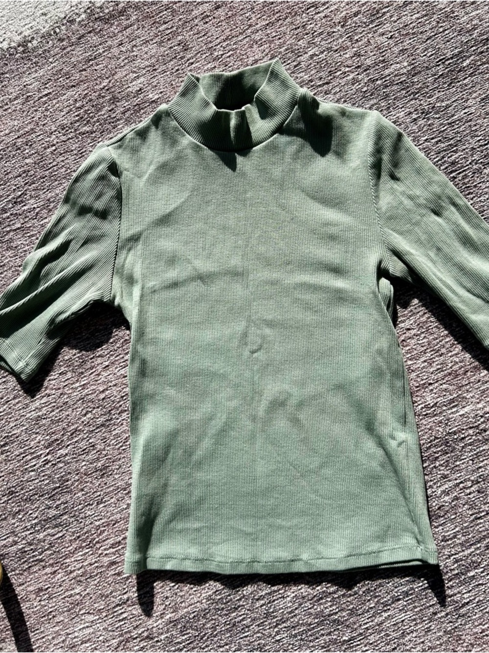 Zara Ribbed Mock Neck Top in Sage Green